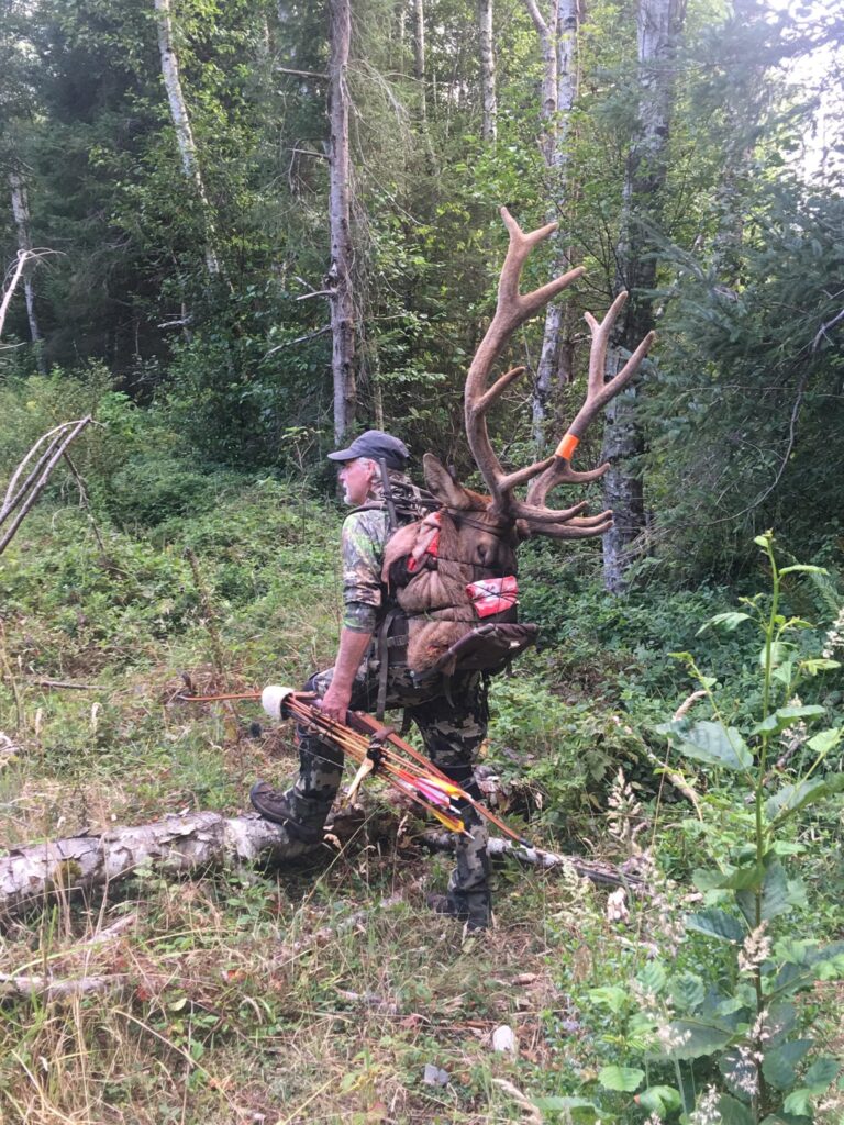 Roosevelt Elk Pack Out